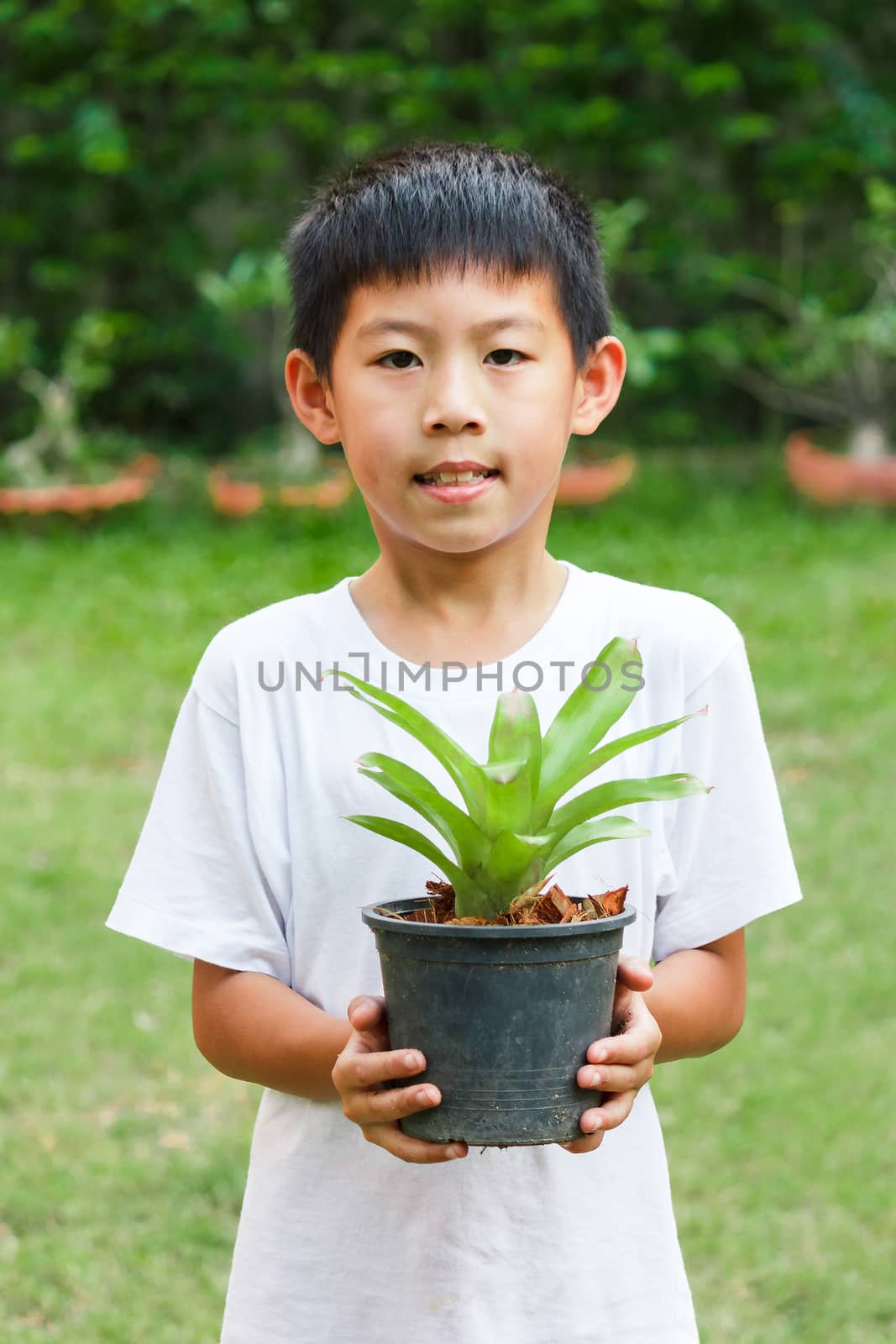 Thai boy holding bromeliad pot in hand.