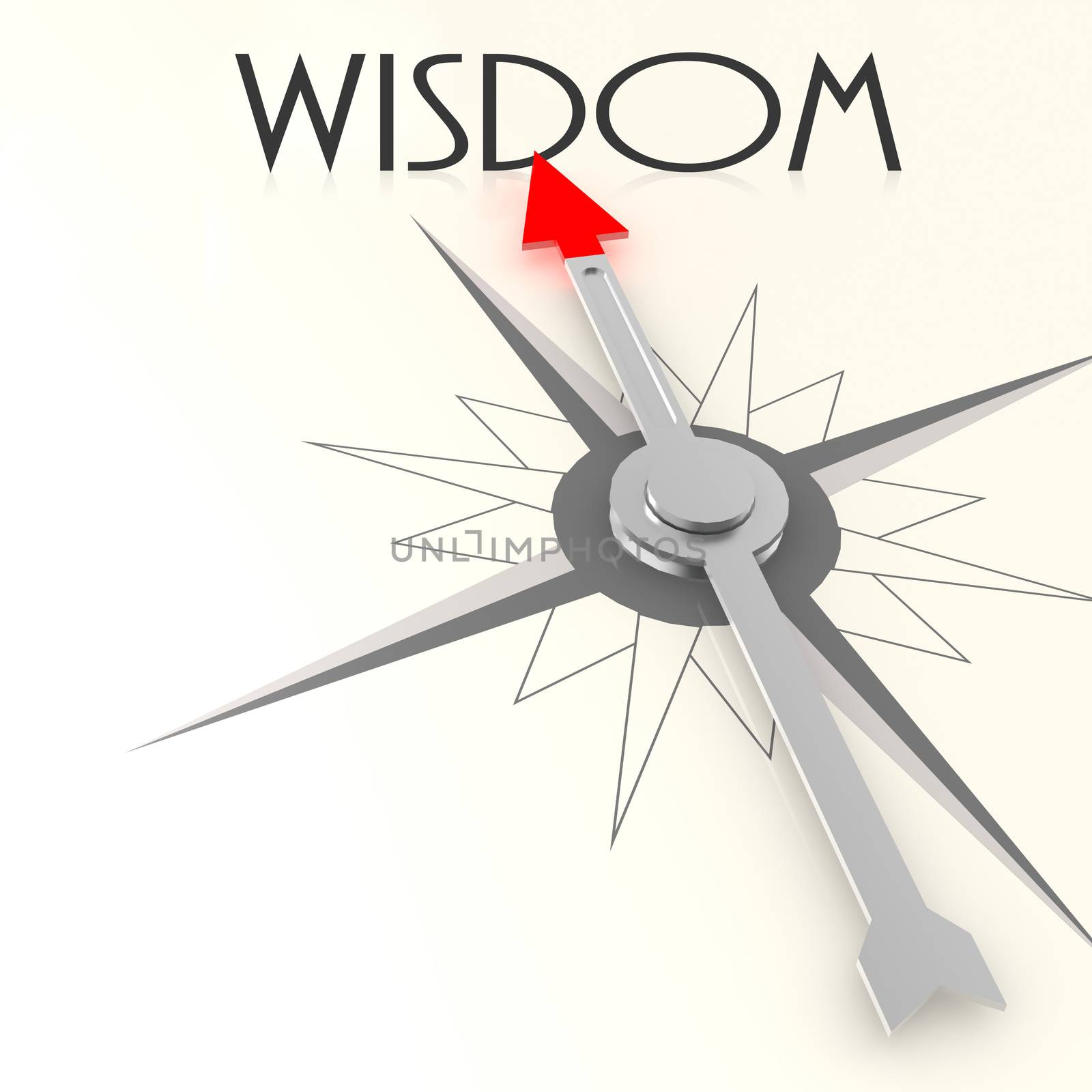 Compass with wisdom word image with hi-res rendered artwork that could be used for any graphic design.