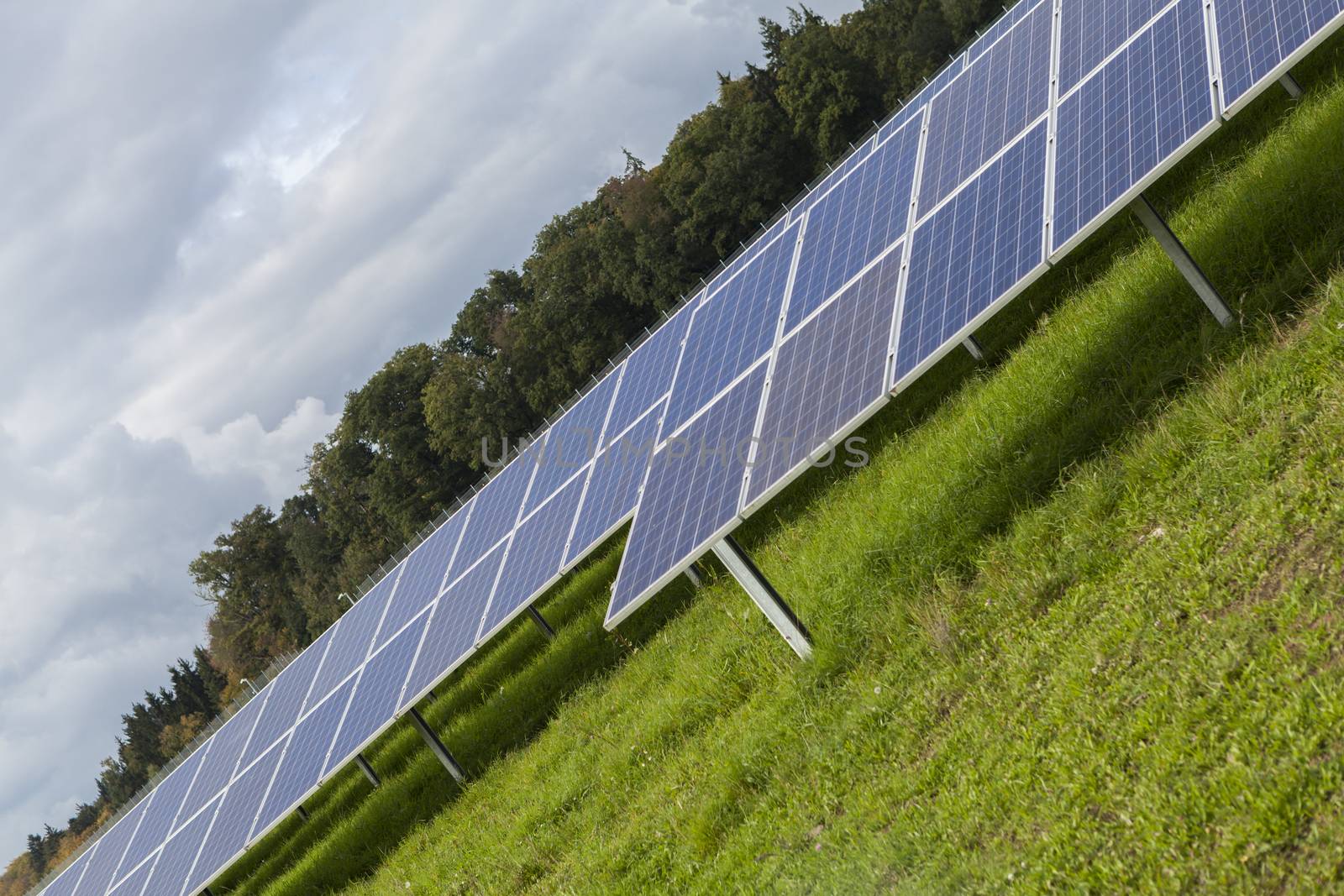 Field with blue siliciom solar cells alternative energy to collect sun energy