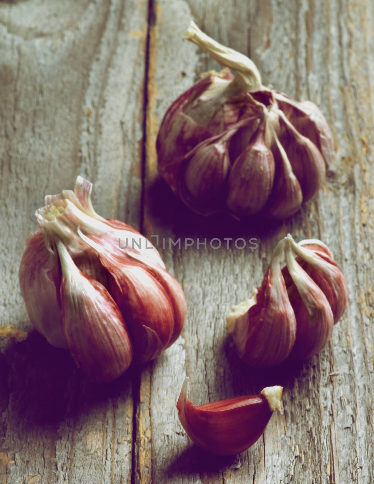 Fresh Raw Pink Garlic in Shadow closeup on Rustic Wooden background. Focus on Foreground