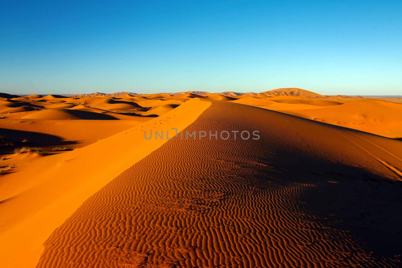 sahara desert dune by tony4urban