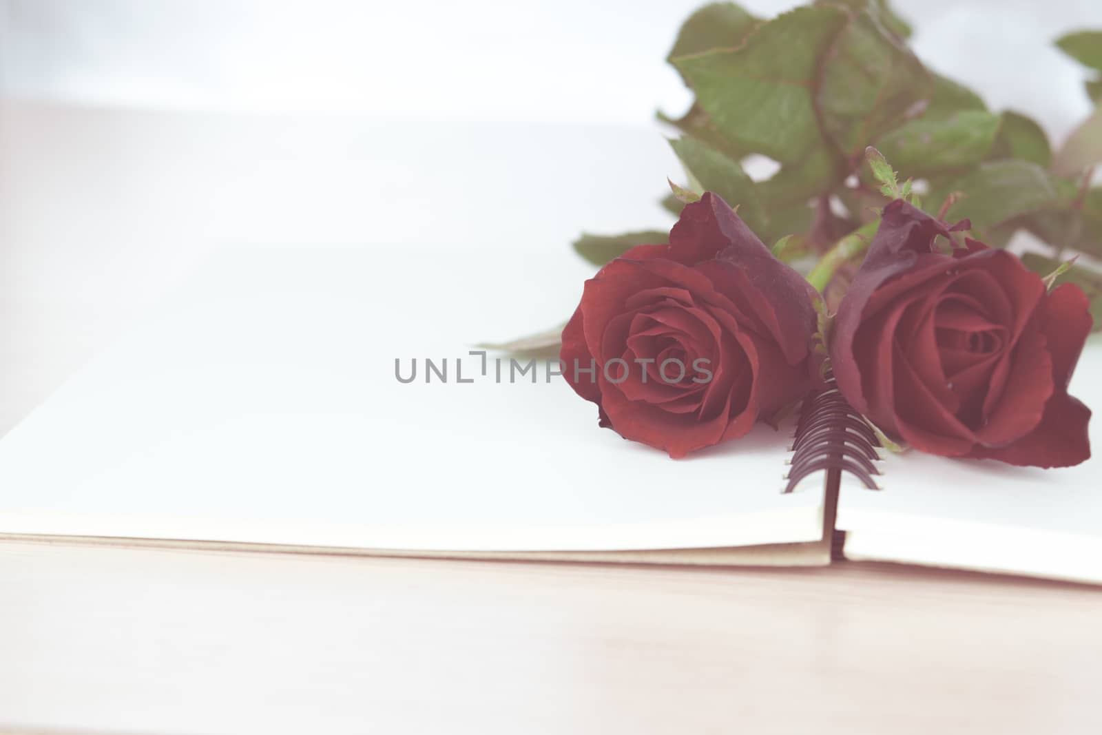 Red roses on notebook prepare to gift on Valentine's Day - Vintage Style