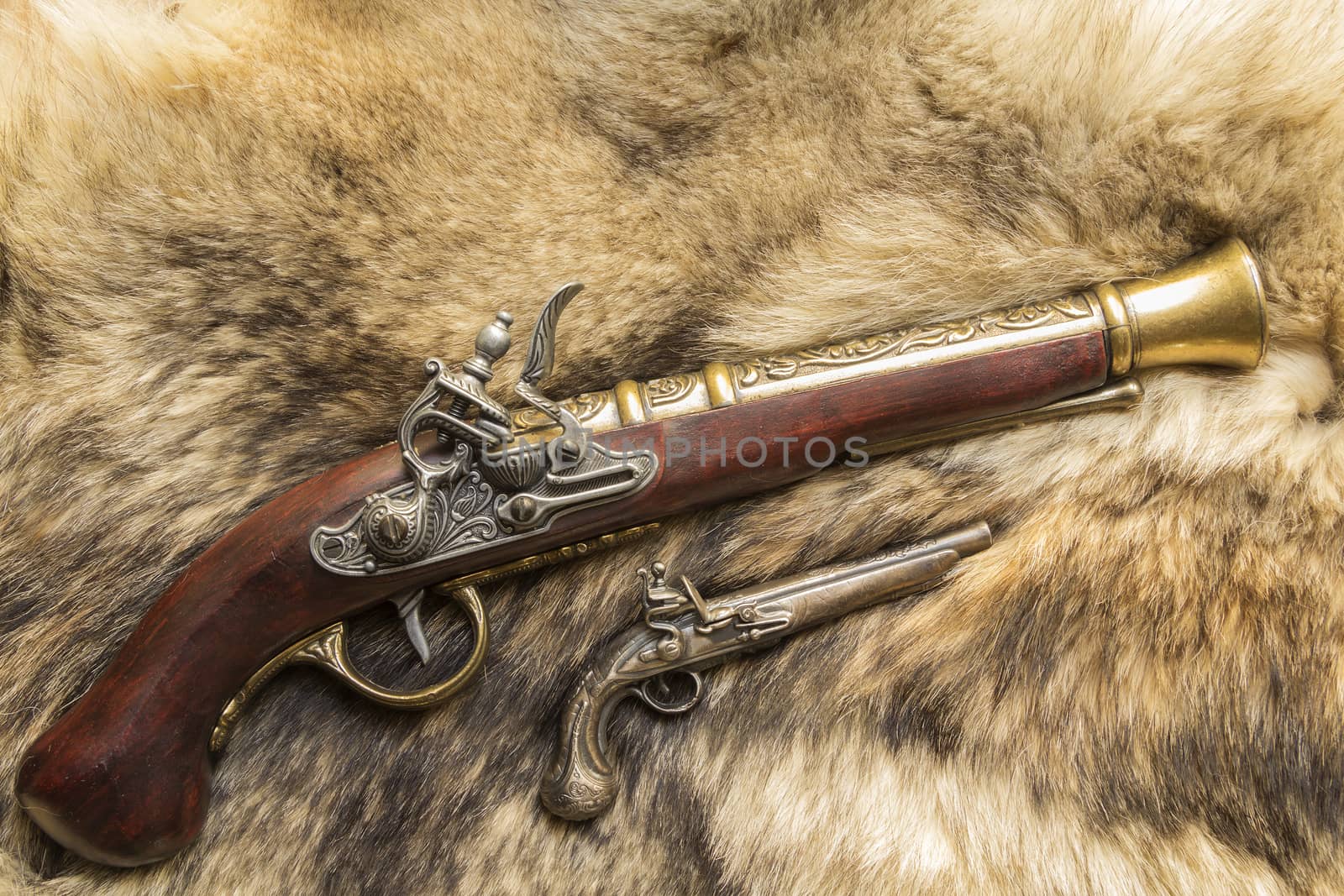antique decorative gun on natural skin a wild Wolf