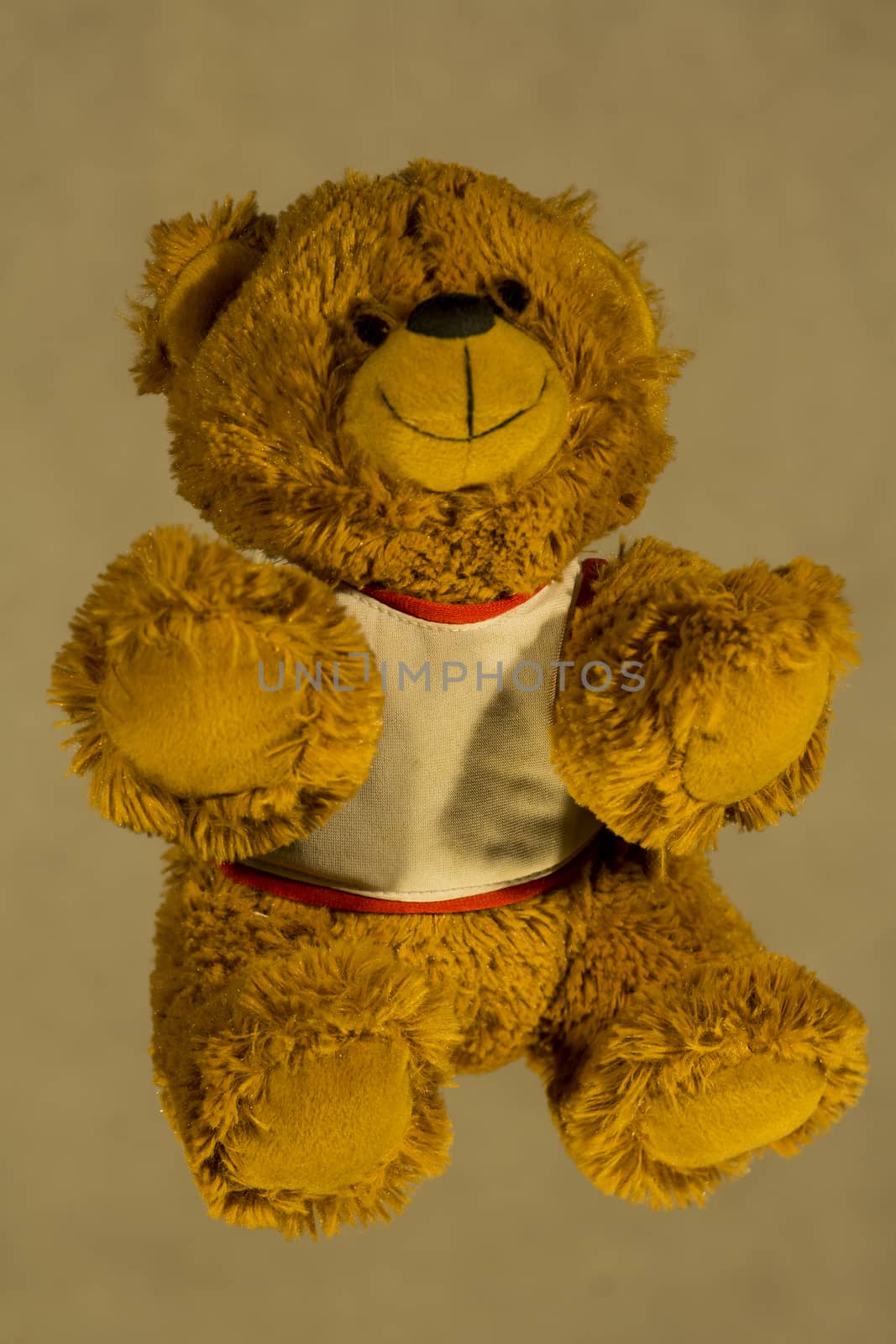 children's toy Teddy bear on a grey background