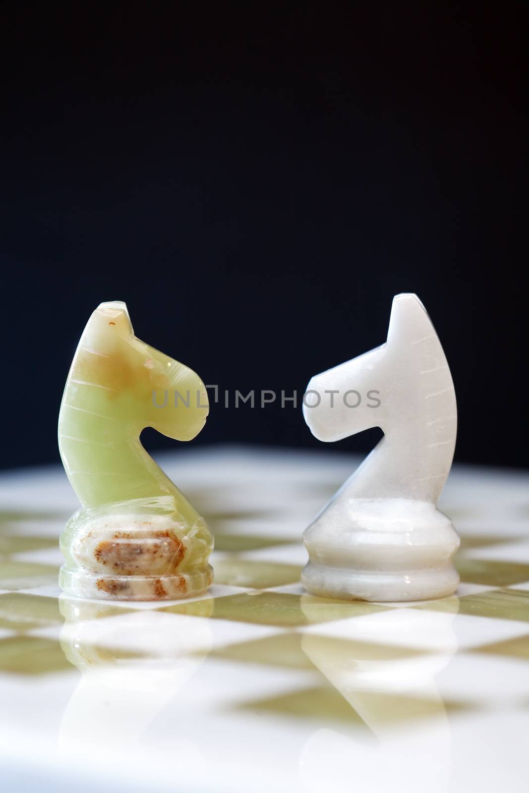 Pair of chess horses made from Onyx on board against blue background