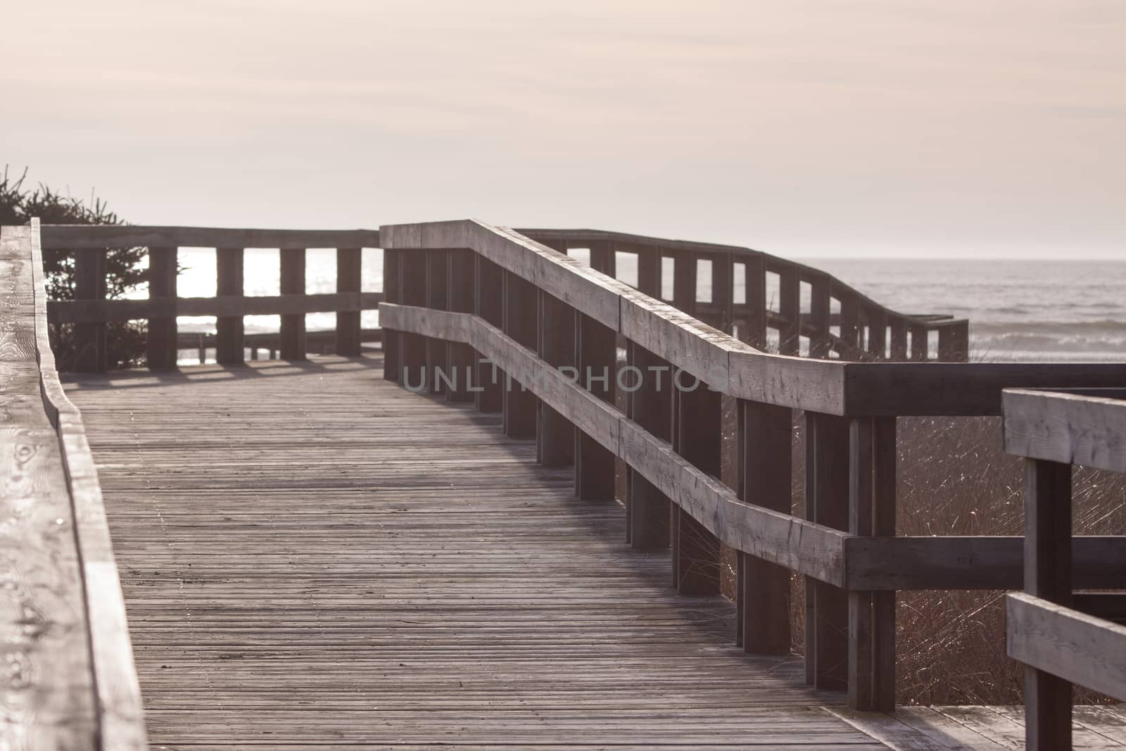 boardwalk leading to Martinique Beach, Nova Scotia