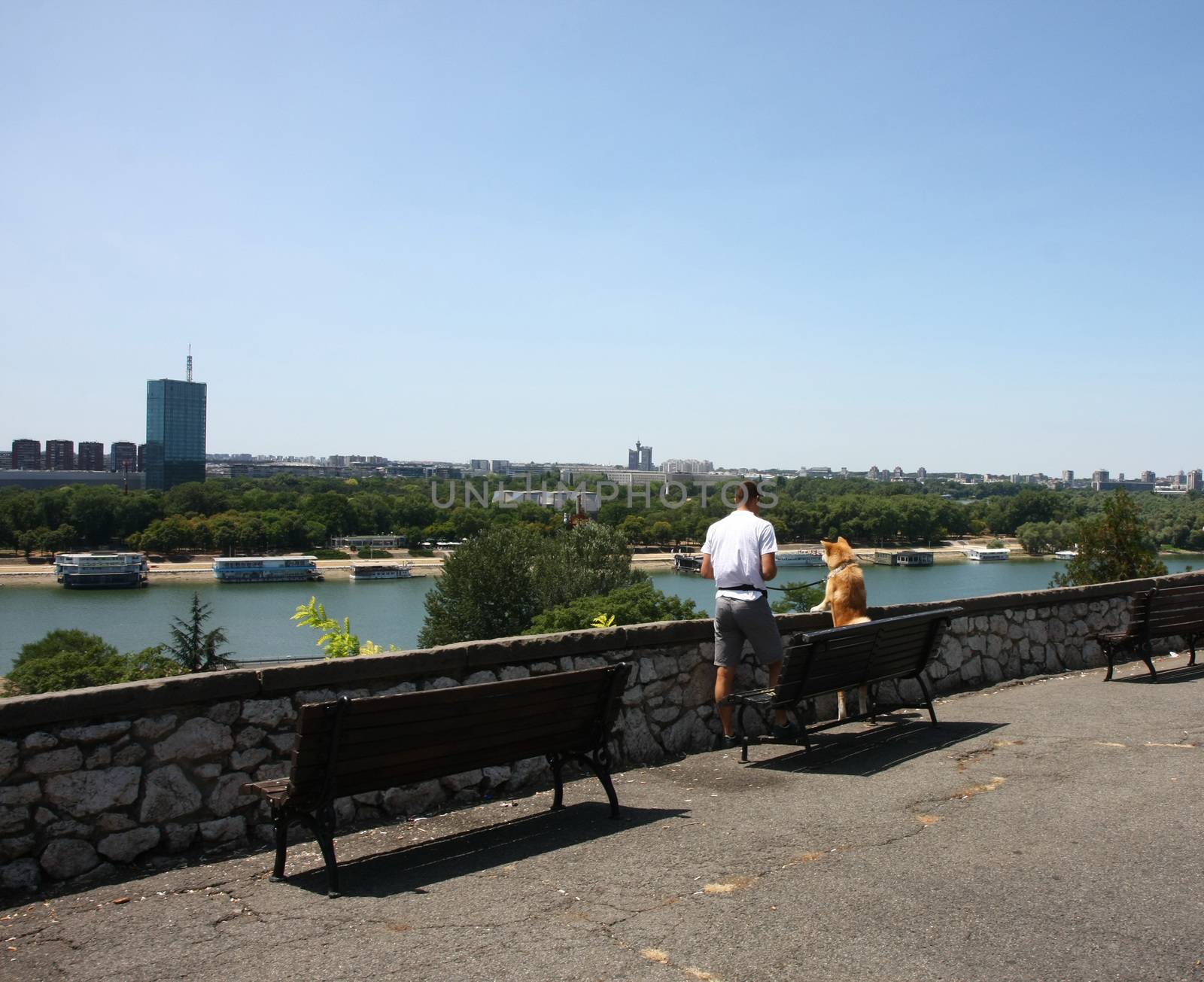 Akita Inu with its owner enjoying beautiful city view