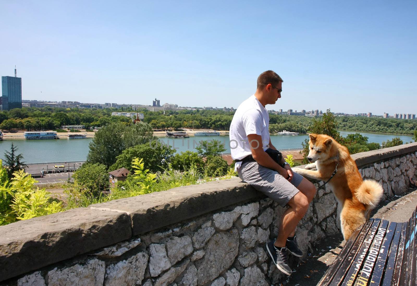 Akita Inu with its owner enjoying beautiful city view