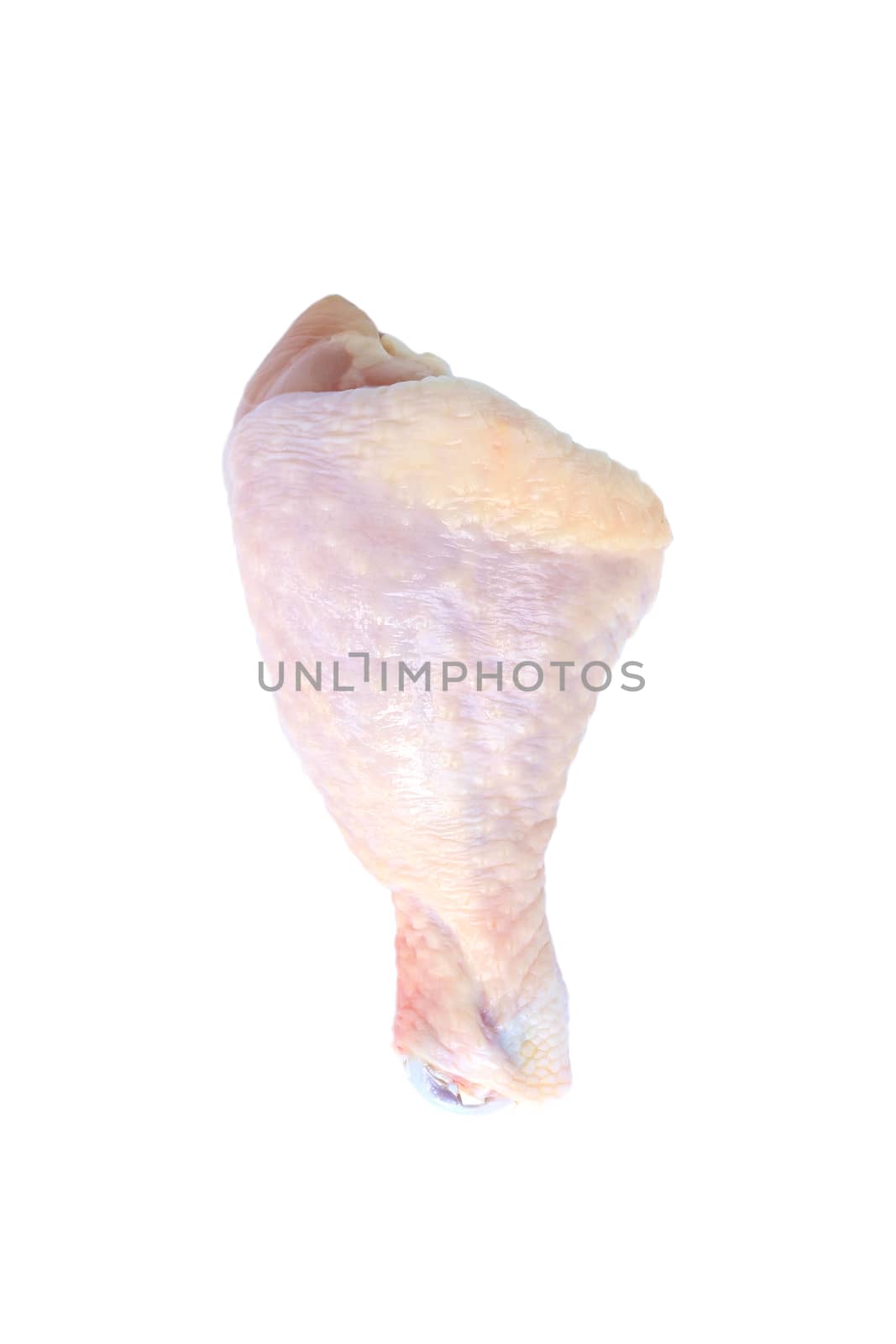 Image of Chicken Drumstick on a white background by yod67