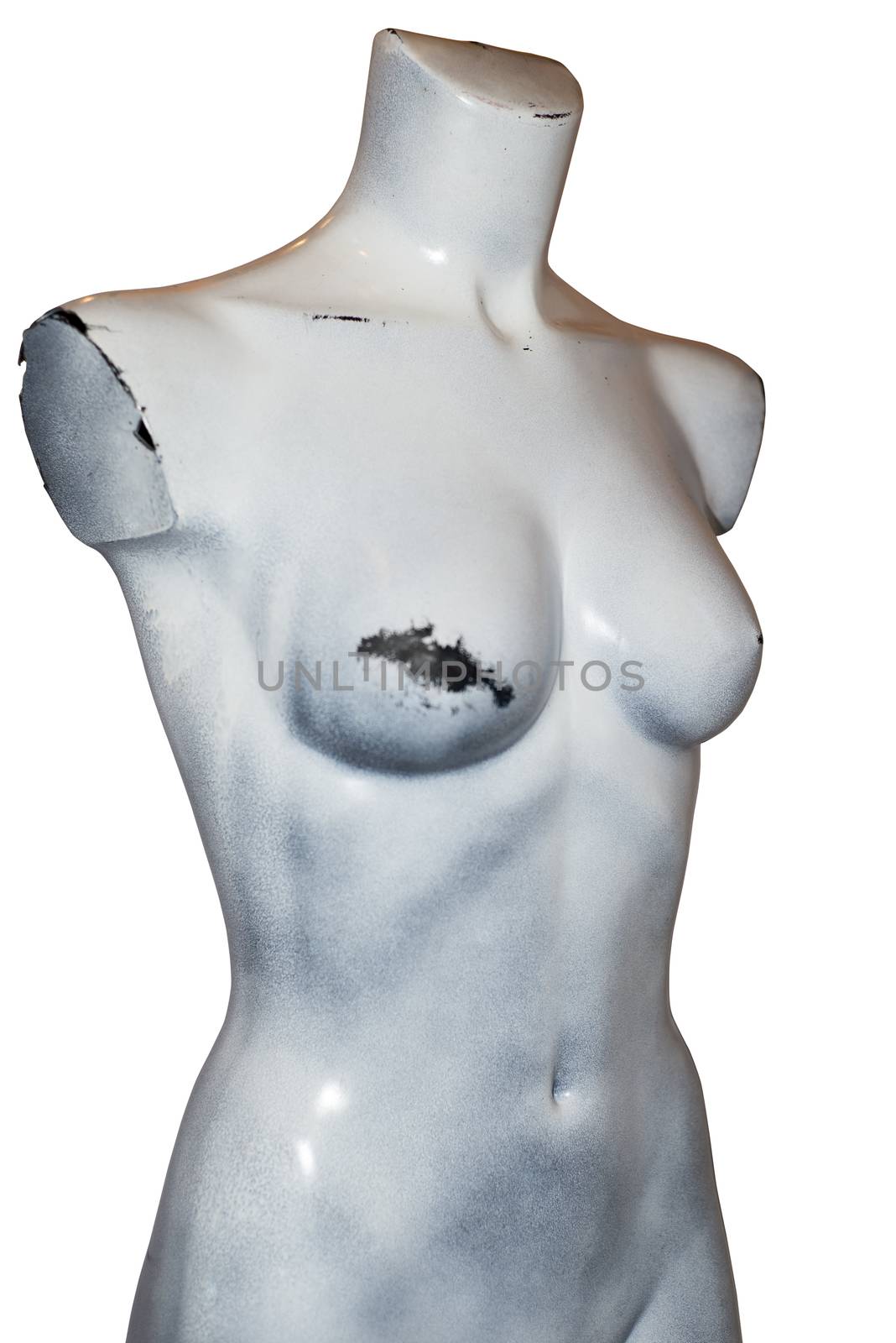 grey mannequin full female torso with a clipping path