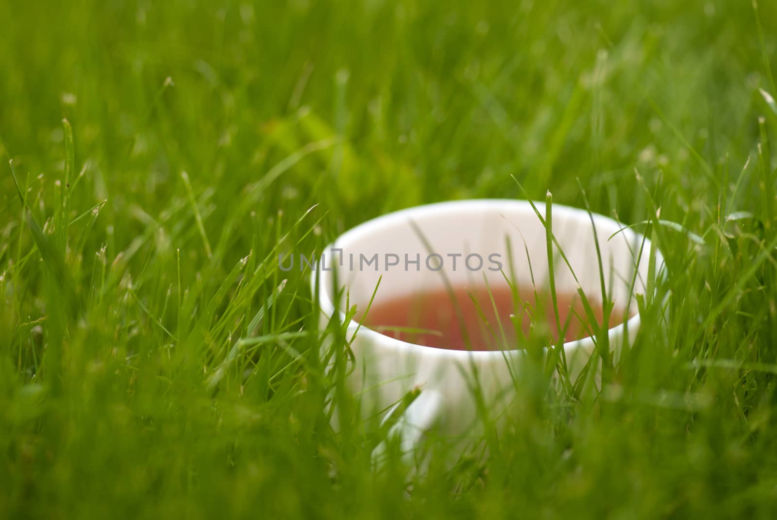 cup of tea on the grass lawn. with copyspace