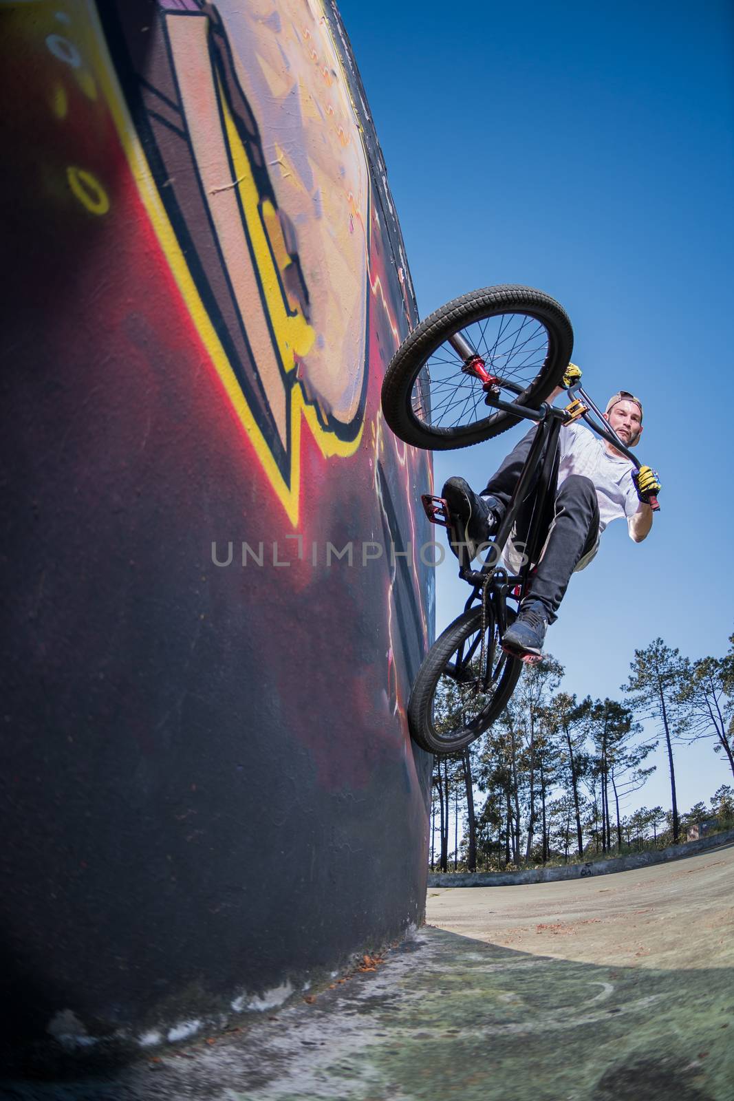 Bmx Bike Stunt Wall Ride on a skatepark.