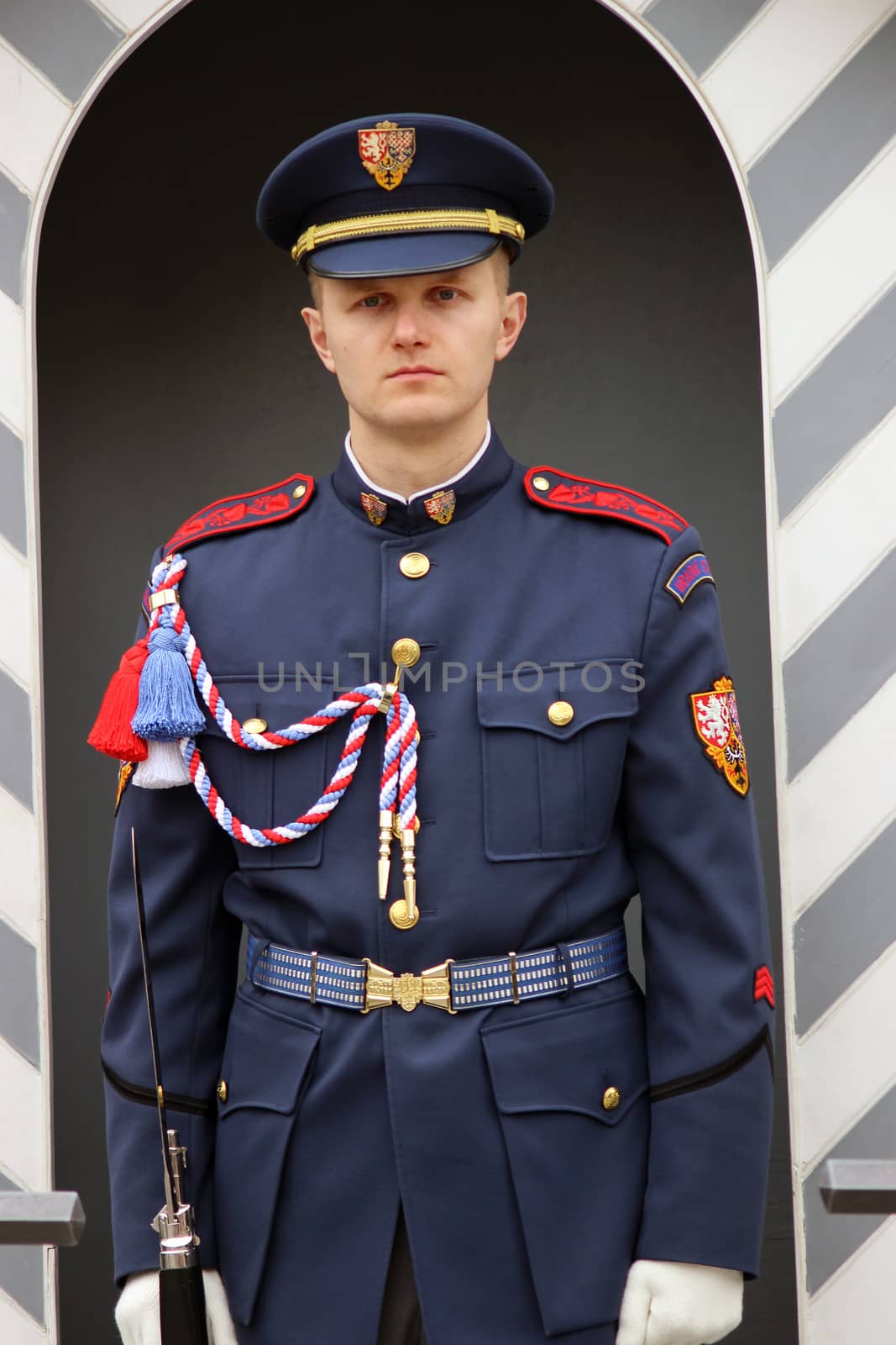 Soldier of Elite Prague Castle Guard in Front of Prague Castle E by bensib