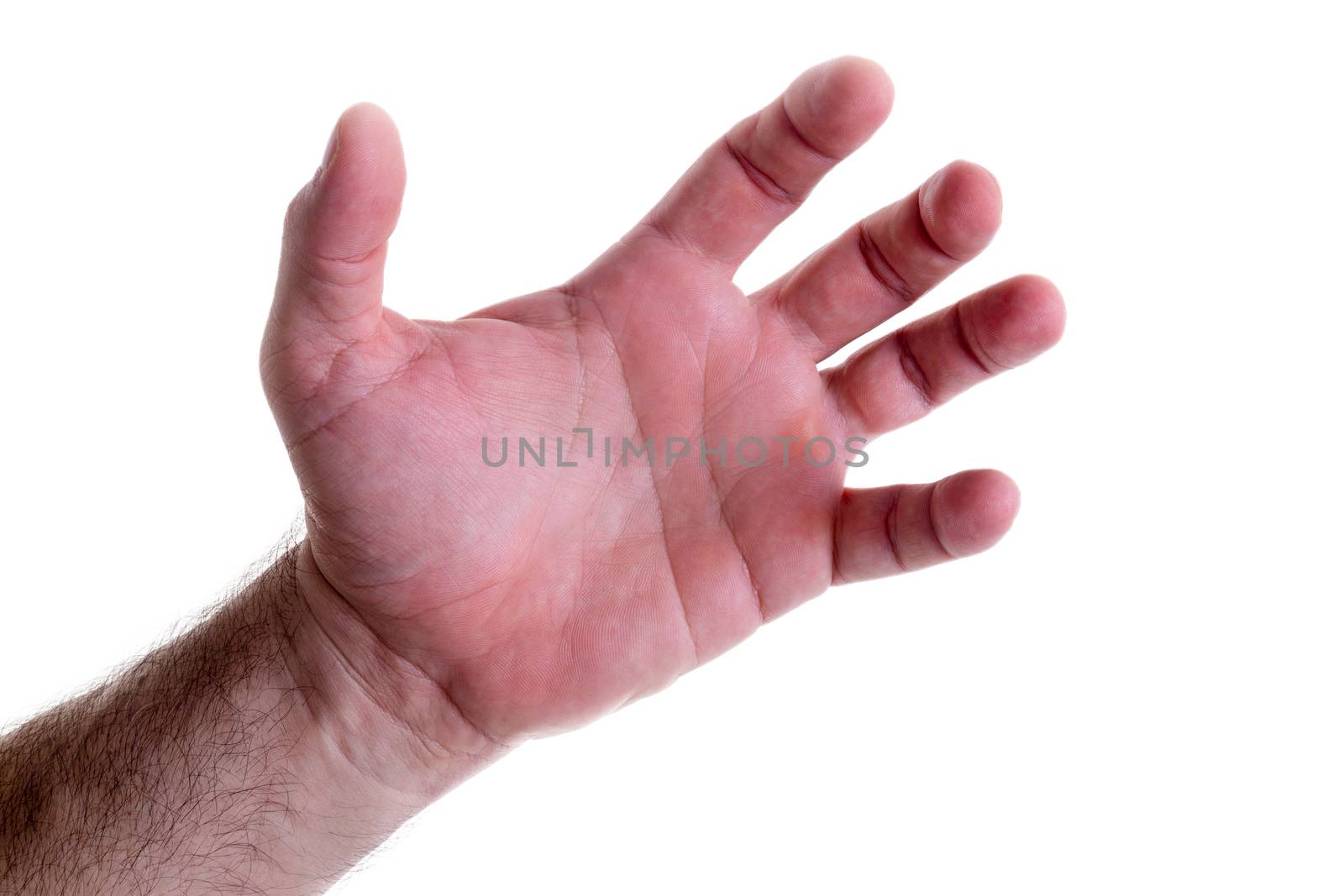 Grasping muscular left male hand with flexed fingers and thumb isolated on white in a concept of help and assistance