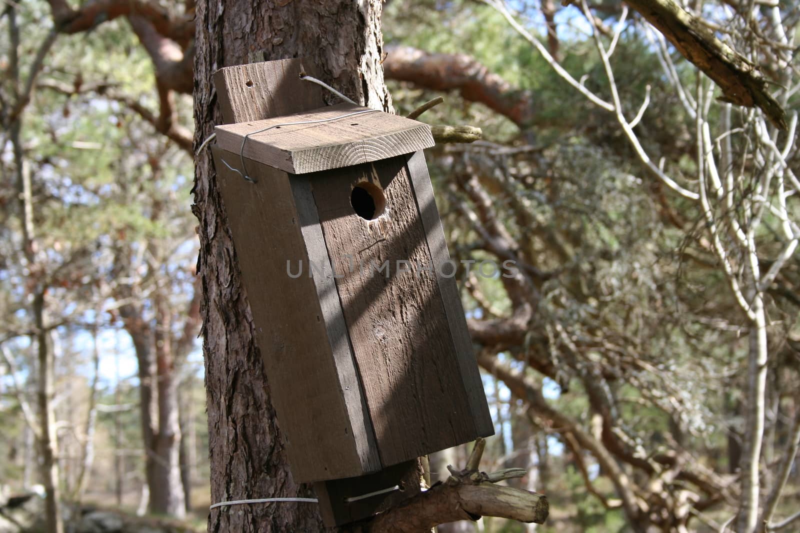 Nesting box