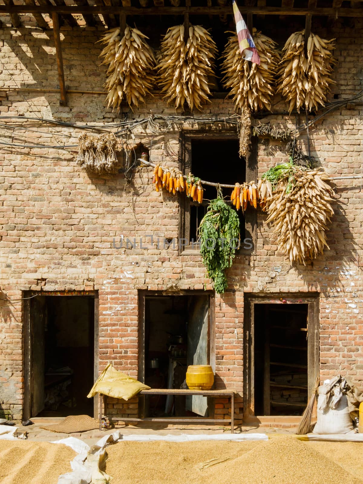 House with corn cobs hanged to dry in Nepal by dutourdumonde