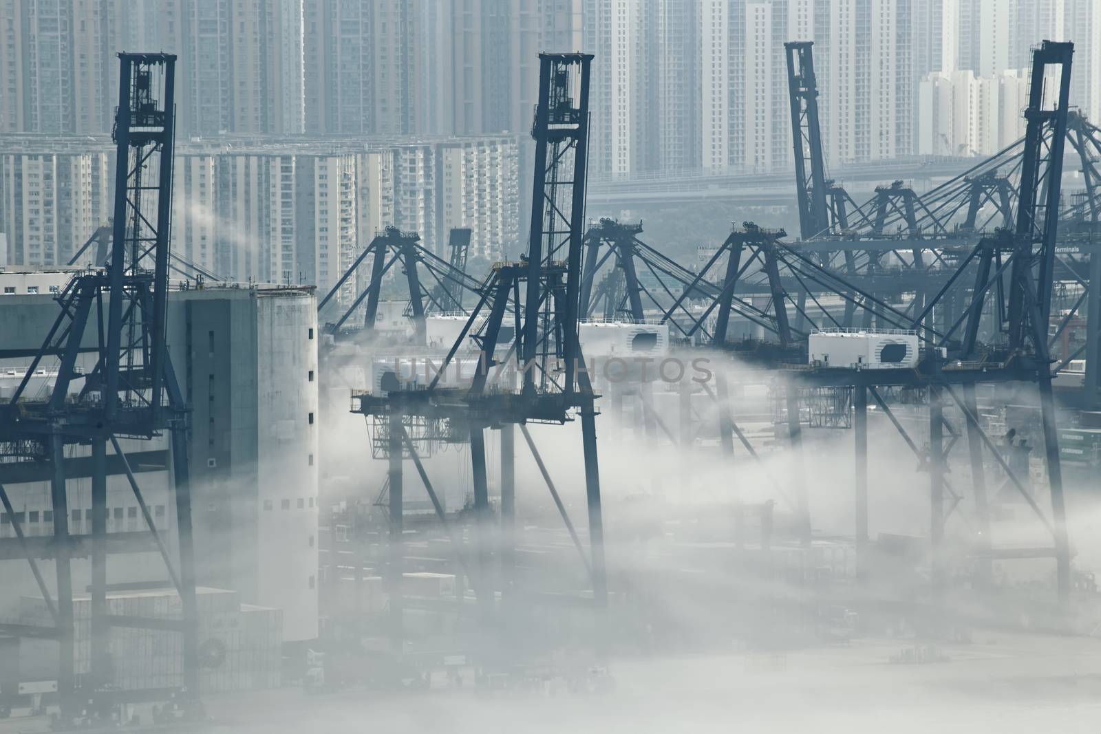 Hong Kong cargo port in mist