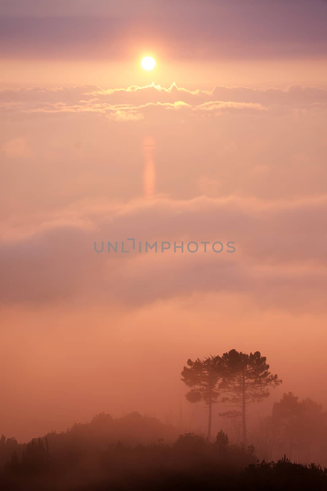 The fog at sunset by fotografiche.eu