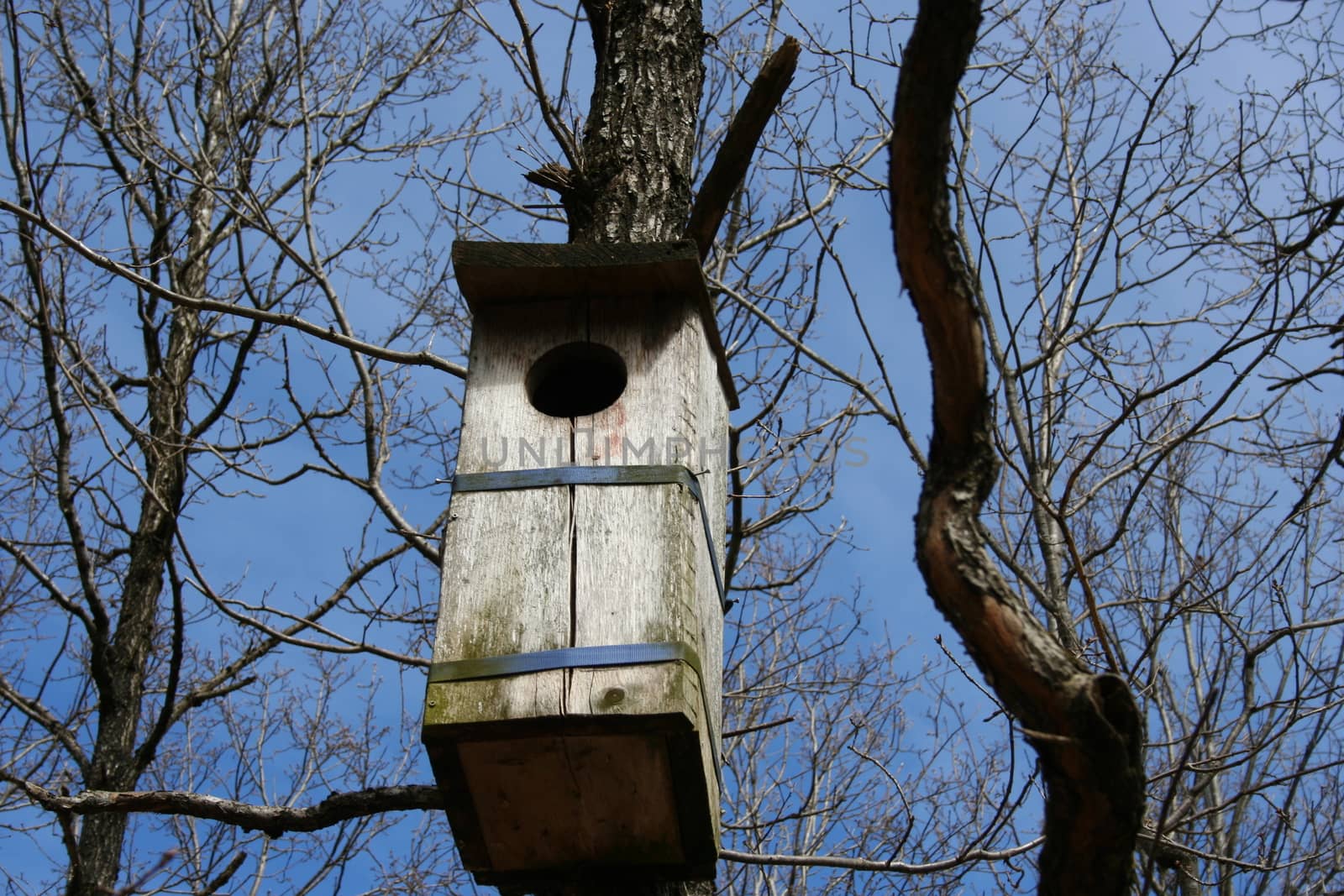 owl nesting box by elin_merete