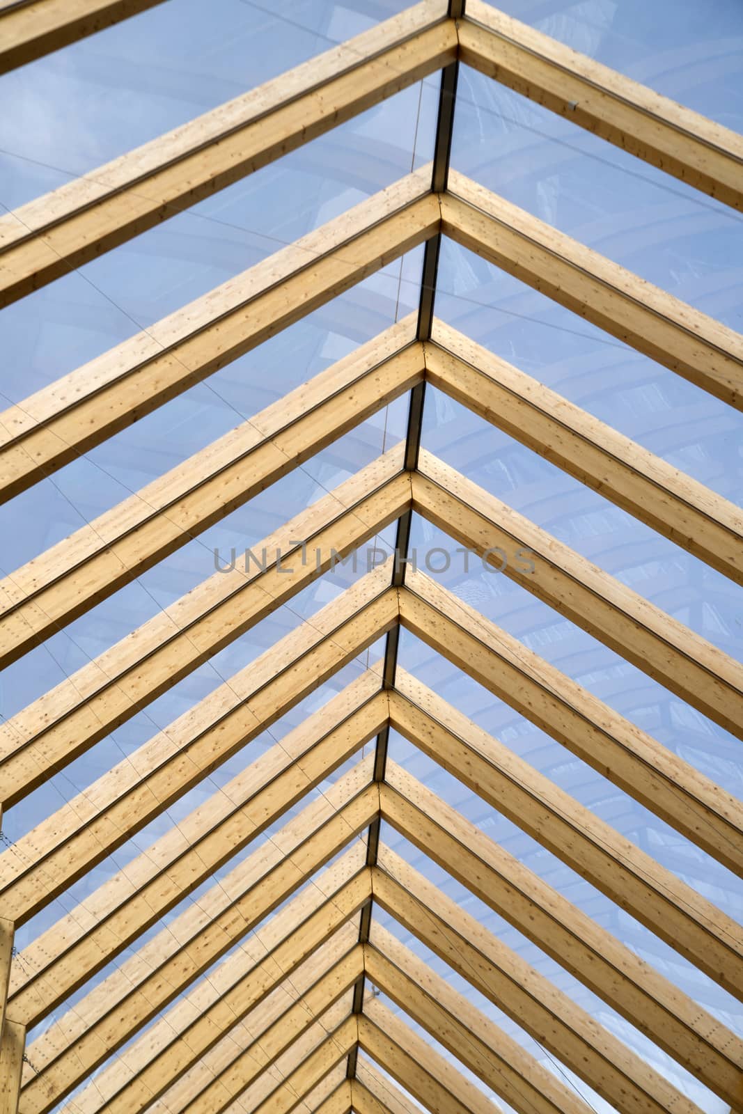 Wooden roof and glass by fotografiche.eu