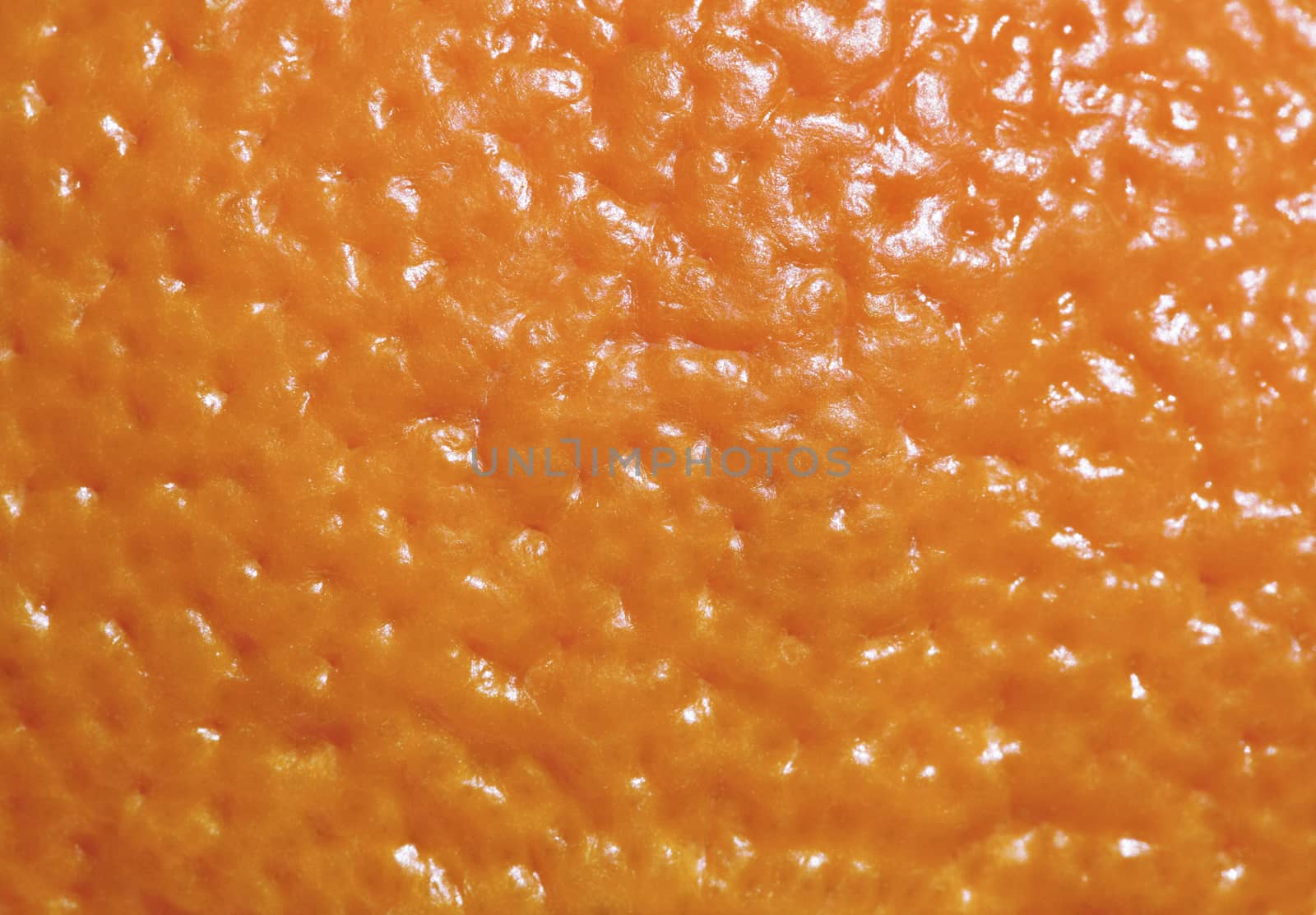 Close-up of ripe tangerine for background, macro shot