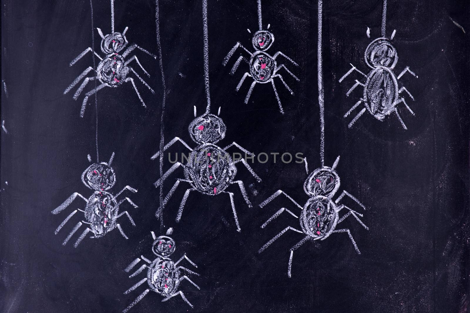 Arachnophobia: Fear of Spiders by fotografiche.eu