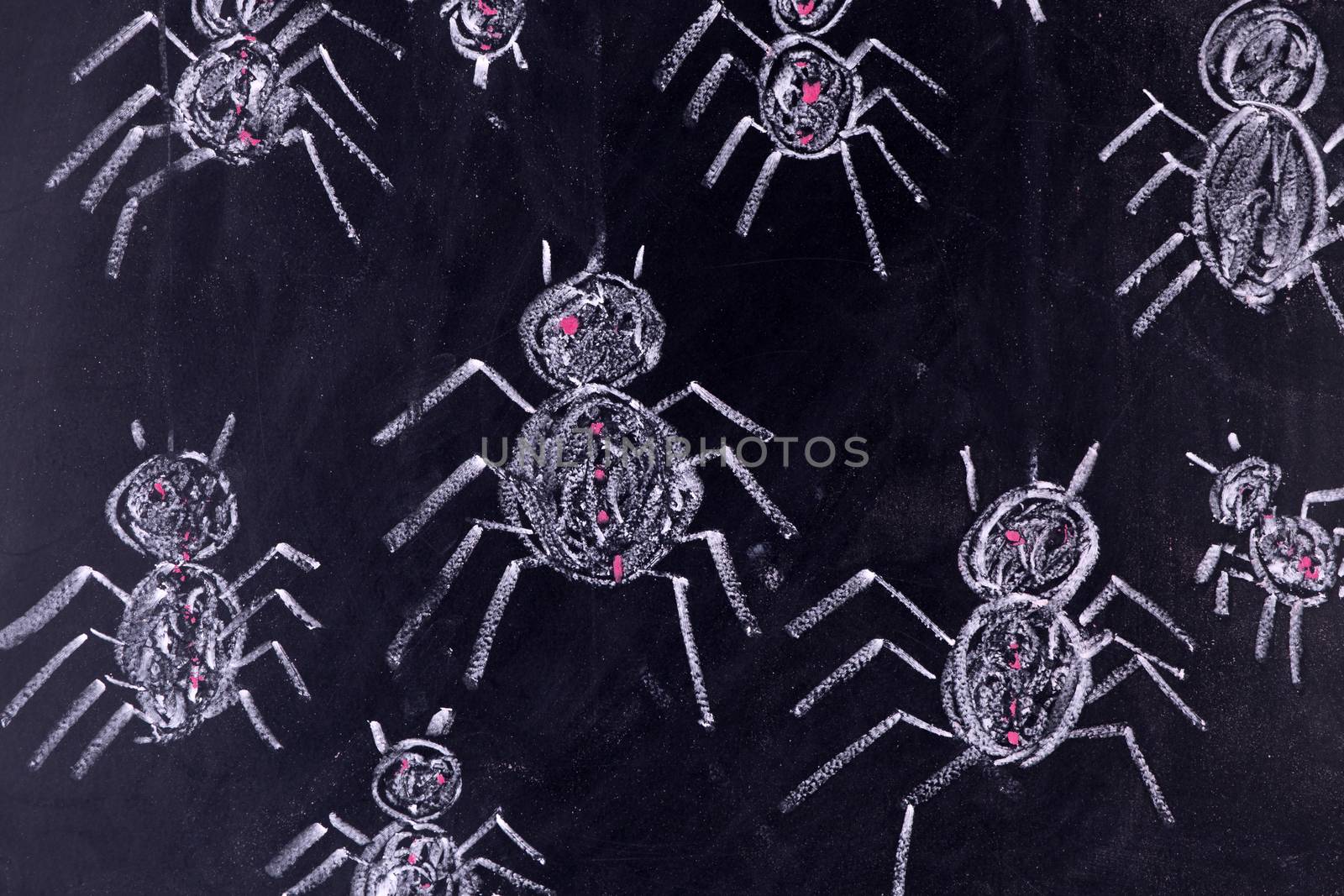 Graphic representation with chalk on the blackboard of arachnophobia fear of spiders