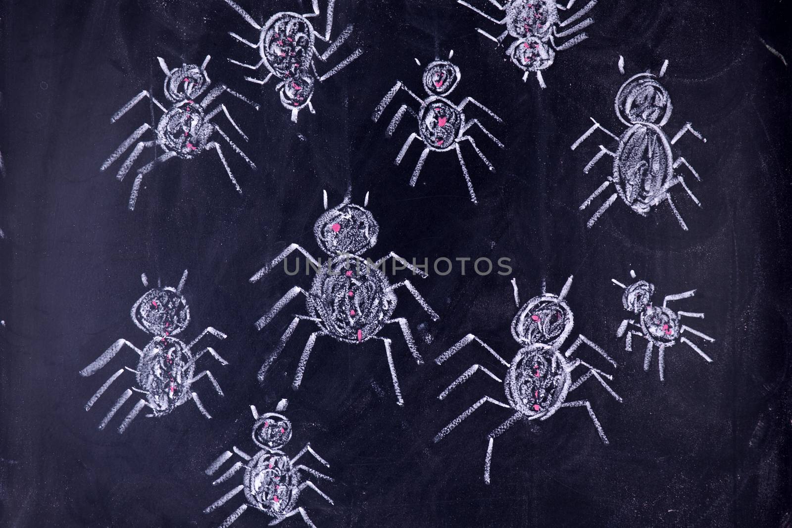 Graphic representation with chalk on the blackboard of arachnophobia fear of spiders