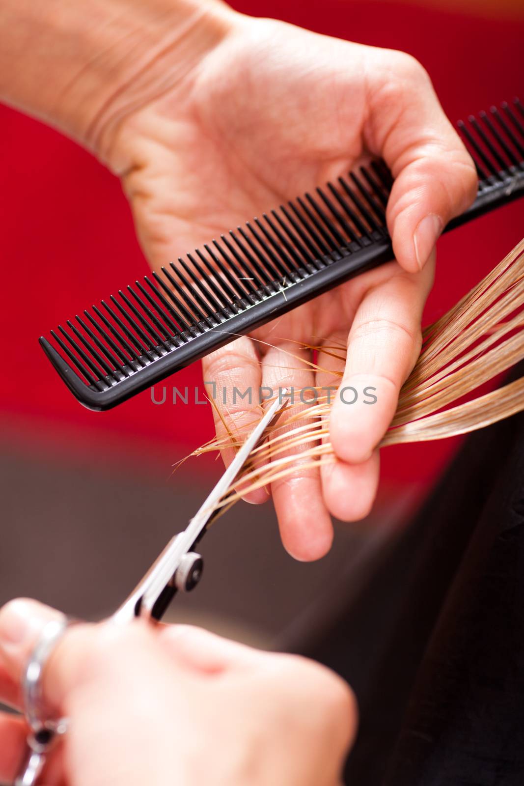 Hairdresser cut hair of a blonde woman / close-up