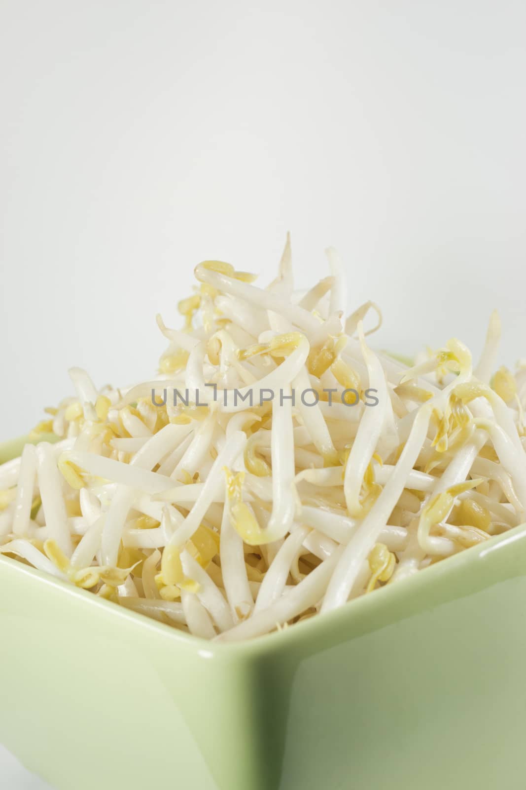 bean sprouts is main ingredient for menu noodle in thailand