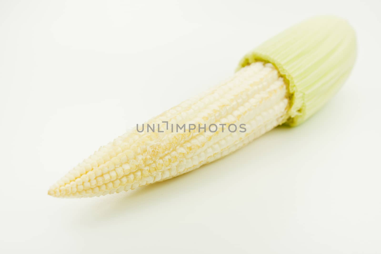 baby corn by audfriday13