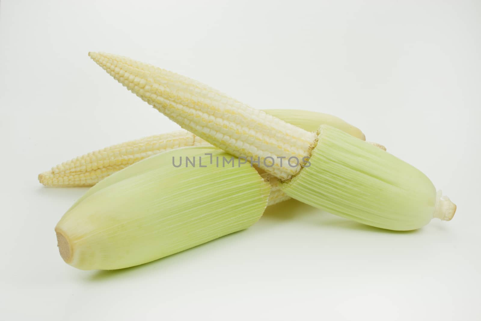 baby corn by audfriday13