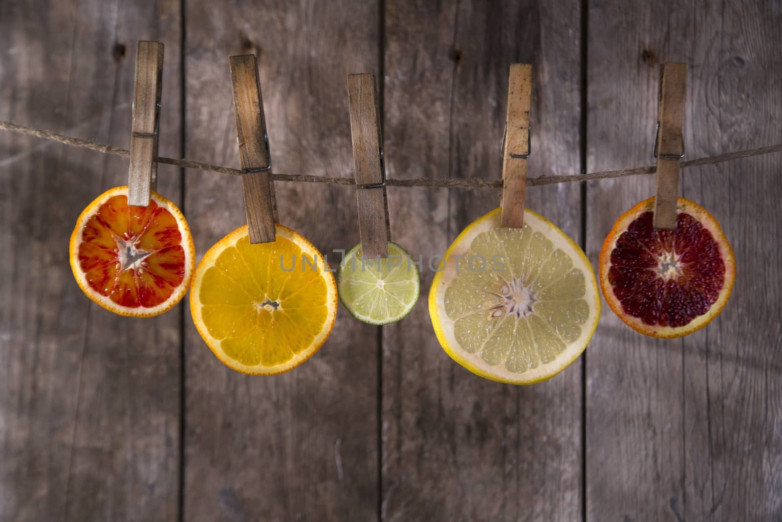 Presentation of a series of slices of citrus fruit to highlight the various colors
