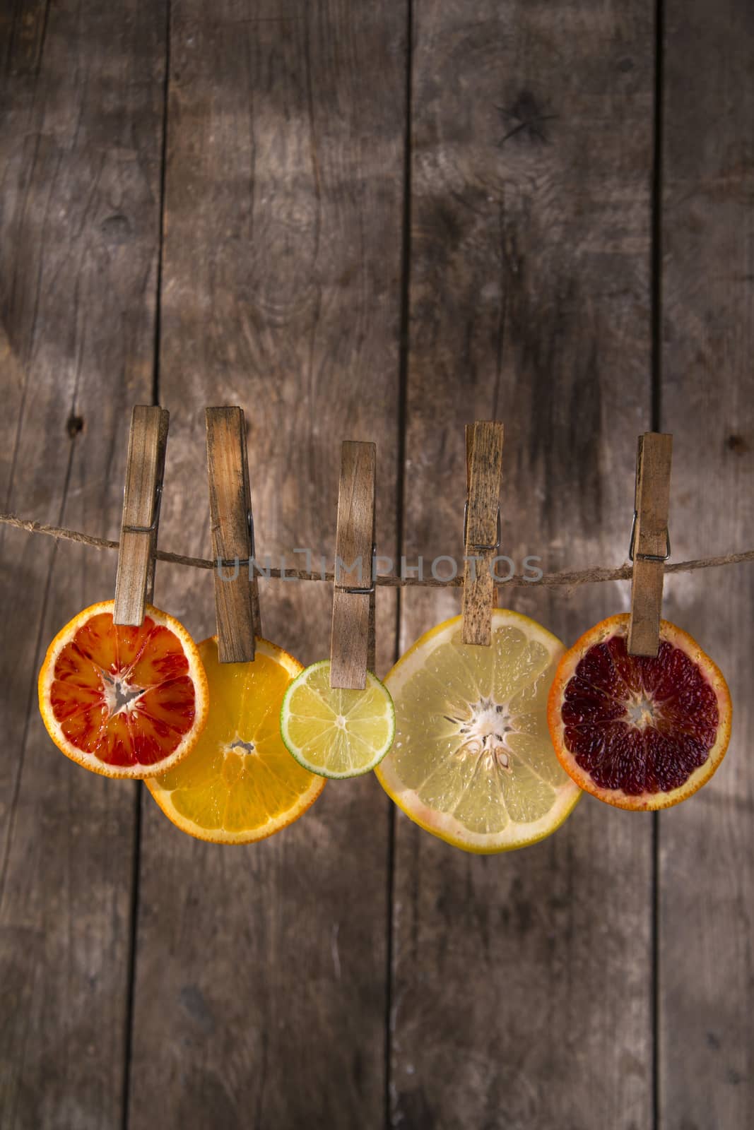 The colors of the citrus fruit by fotografiche.eu