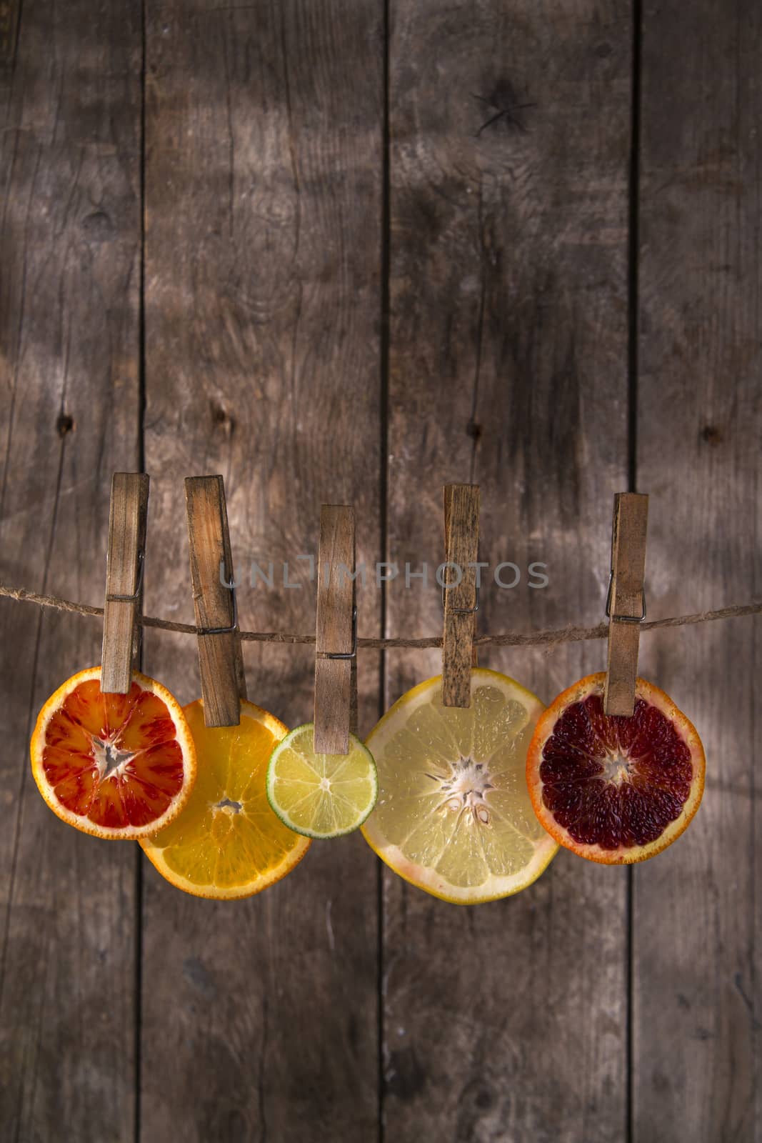 The colors of the citrus fruit by fotografiche.eu