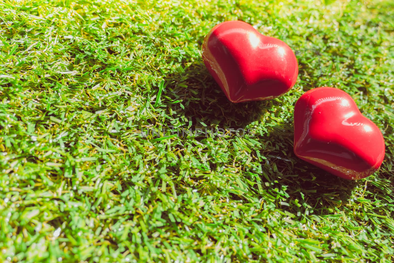 closeup of a red heart on the grass by teerawit