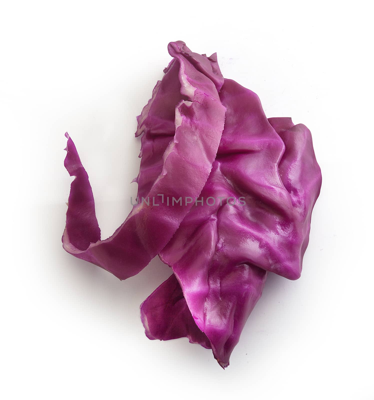 Sliced red cabbage by Angorius