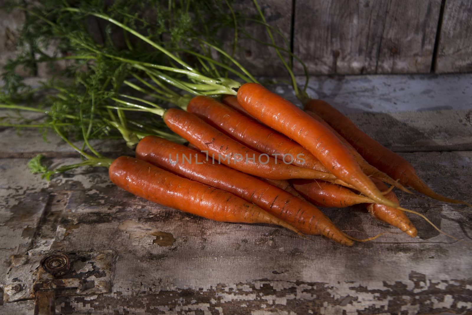 Bunch of carrots by fotografiche.eu