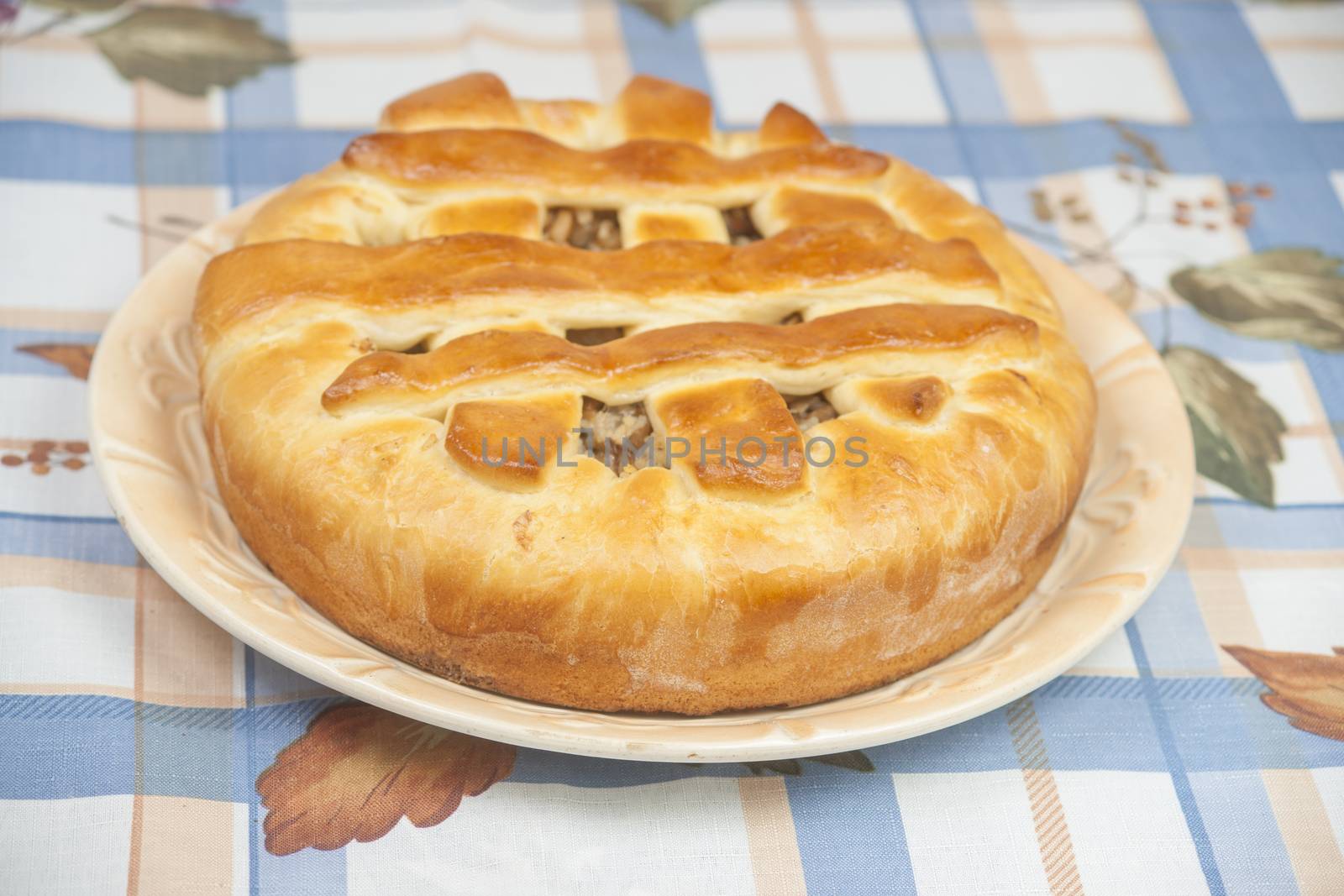 Tasty pie with filling on the plate by kozak