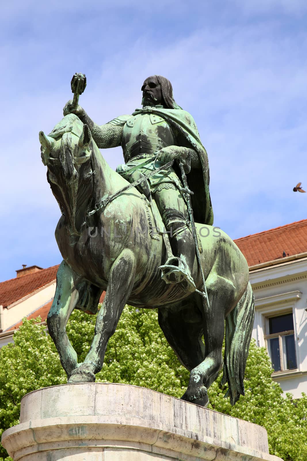  A statue of Janos Hunyadi on Szechenyi Square in Pecs, Hungary by vladacanon