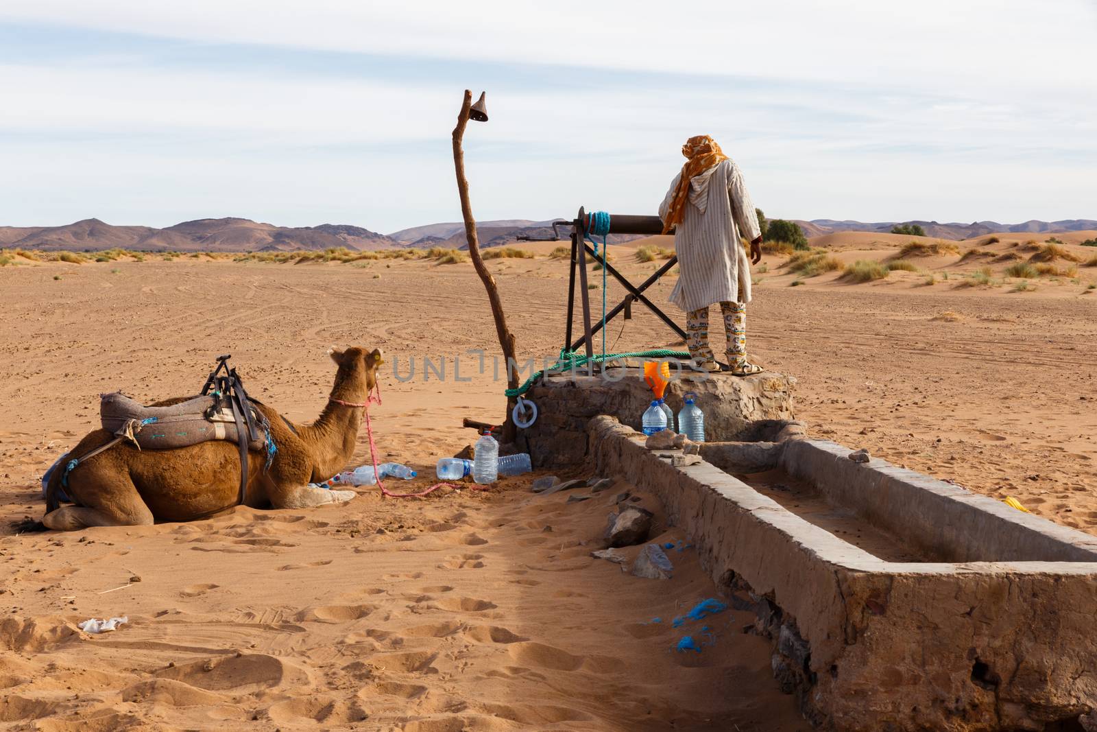 Berber man with camels at the well takes water, Morocco