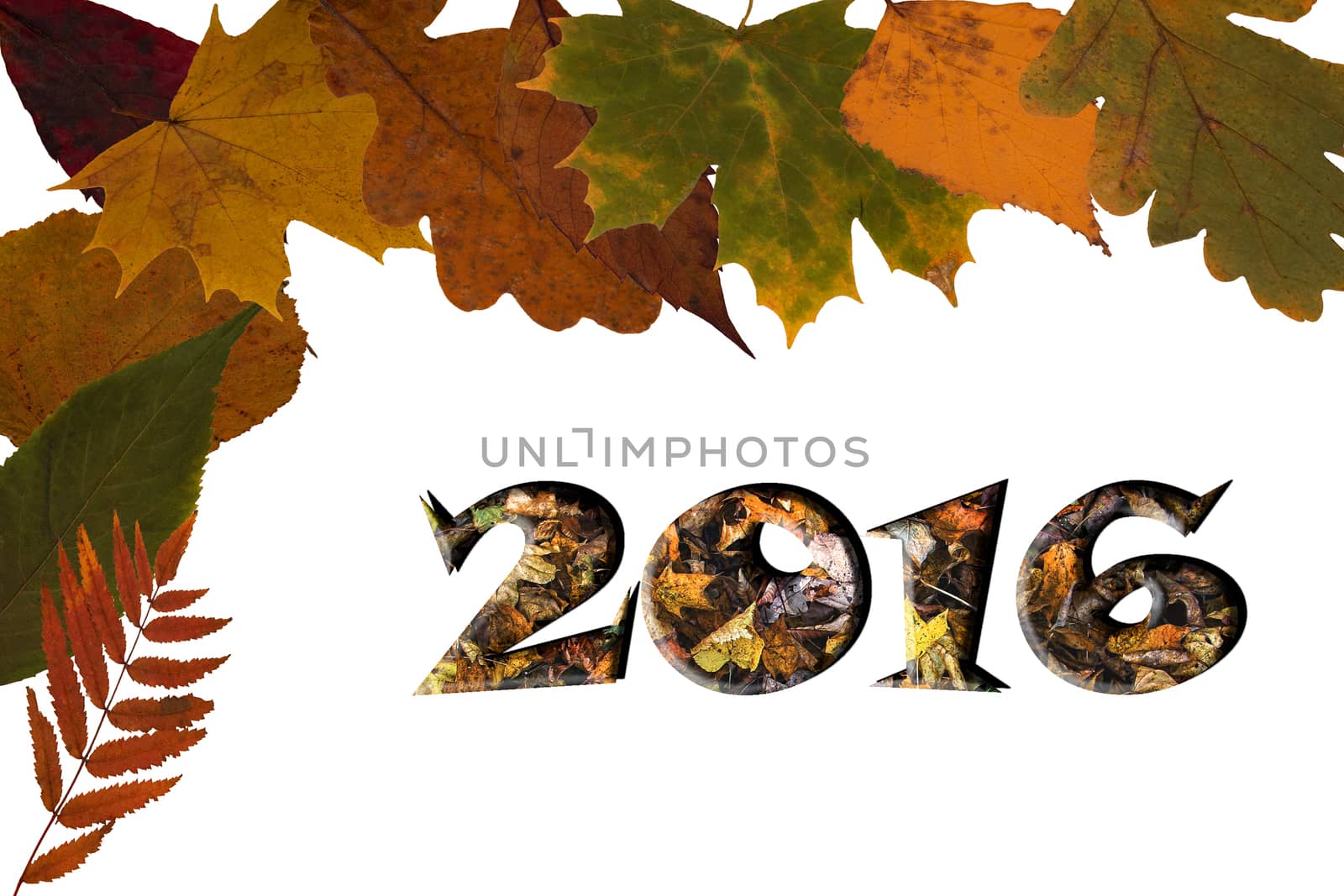 Happy New Year 2016 inscription with leaves