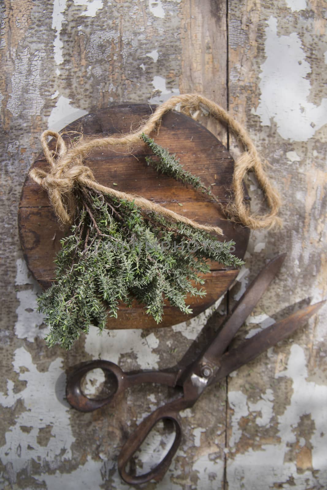 Product of the garden, bunch of thyme essential for the Mediterranean cuisine