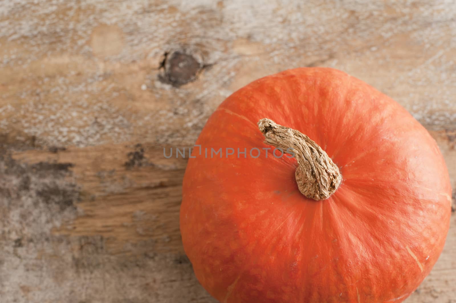 Autumn pumpkin on a rustic wood background by stockarch