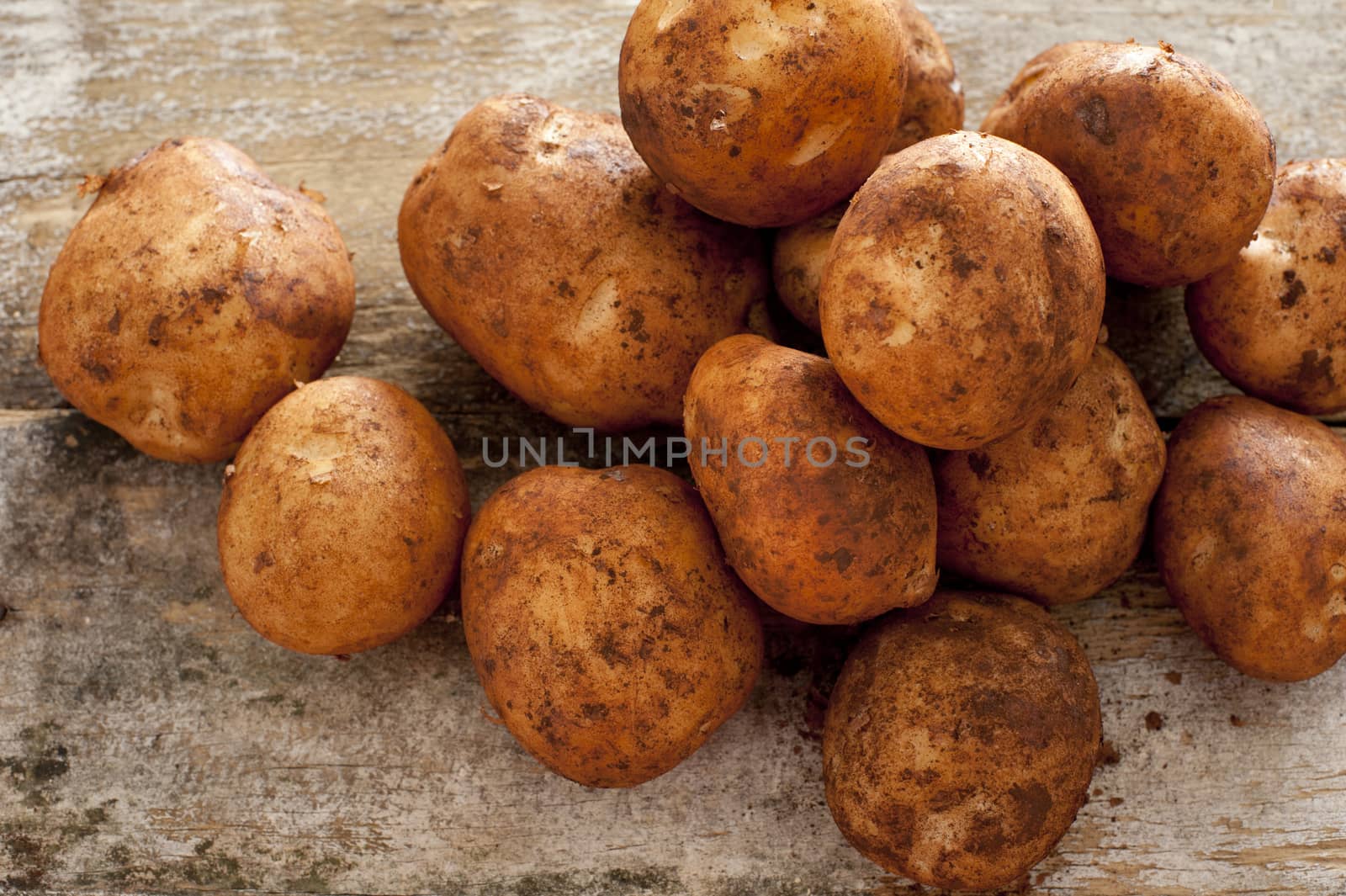 Farm fresh or home grown rustic potatoes by stockarch