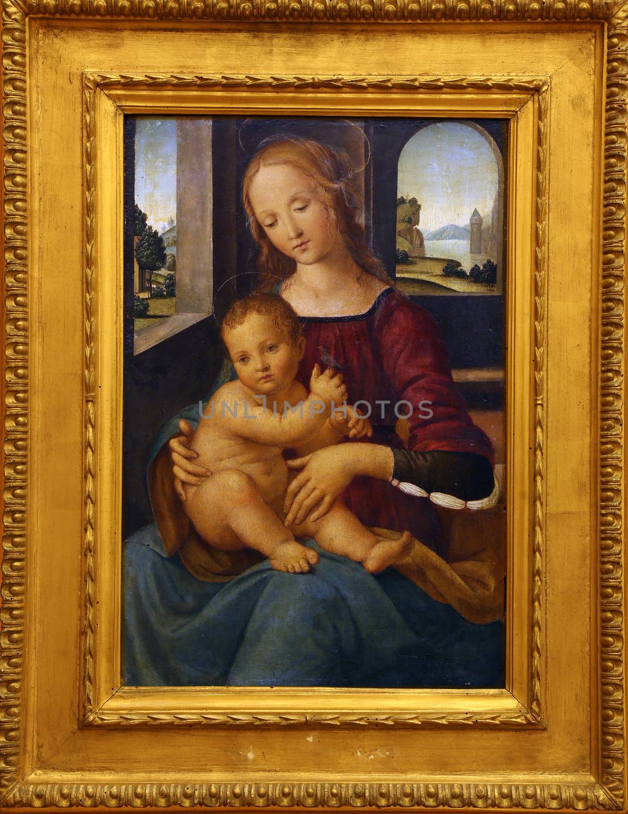 School of Lorenzo di Credi: Madonna with the Child by atlas