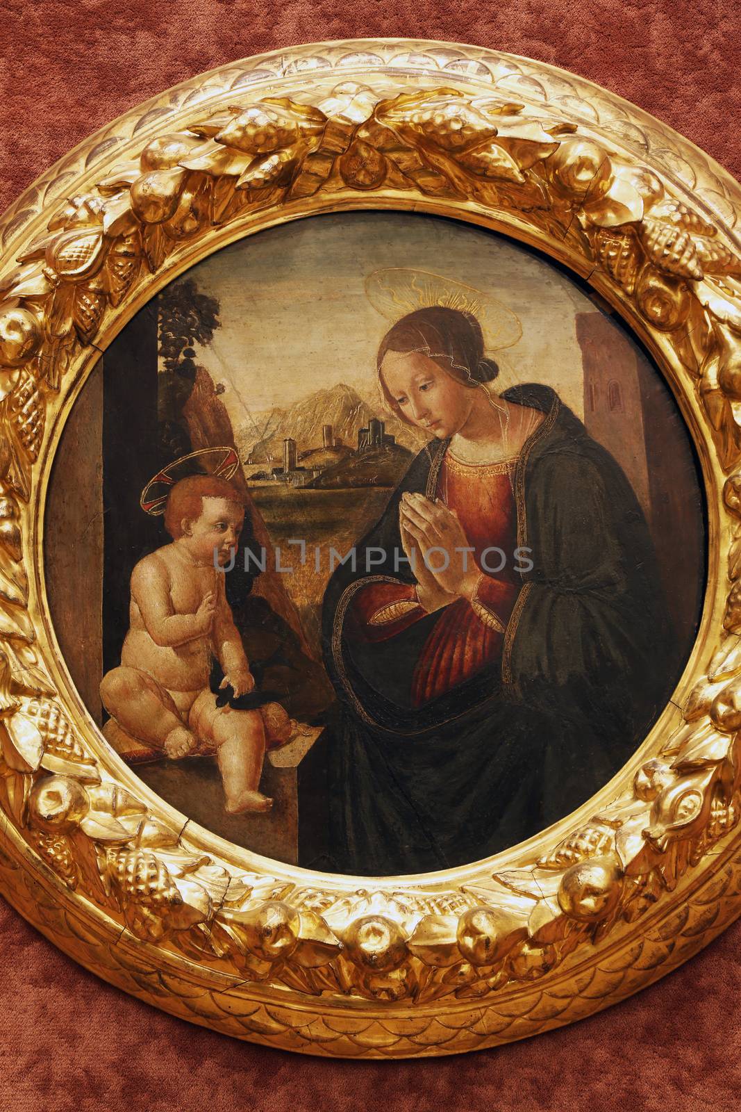 Sebastiano di Bartolo Mainardi: Madonna with the Child by atlas