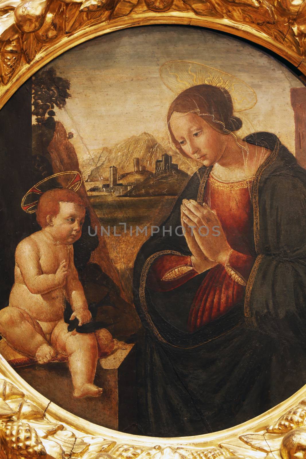 Sebastiano di Bartolo Mainardi: Madonna with the Child, Old Masters Collection, Croatian Academy of Sciences in Zagreb, Croatia