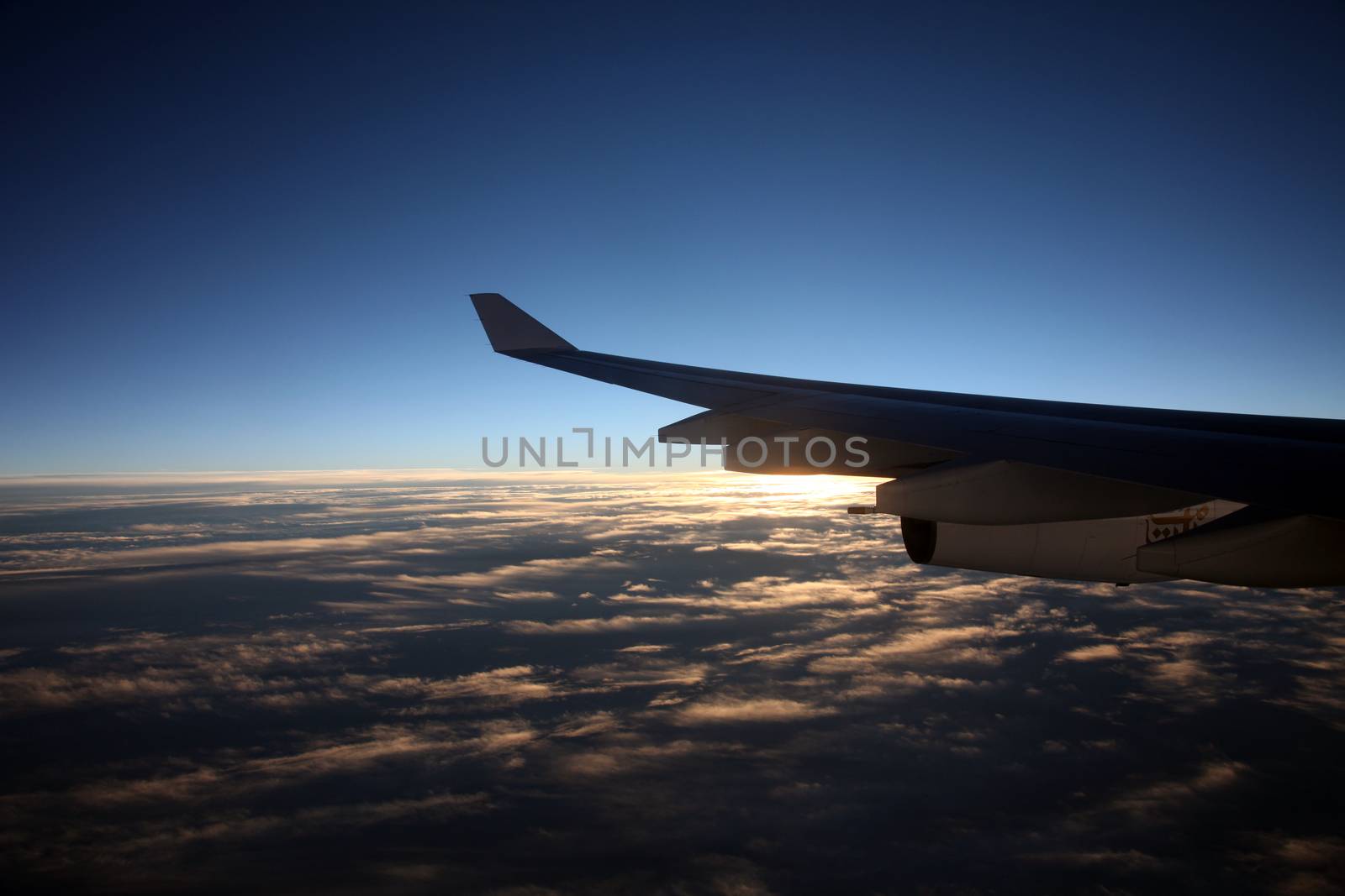 Wing of airplane