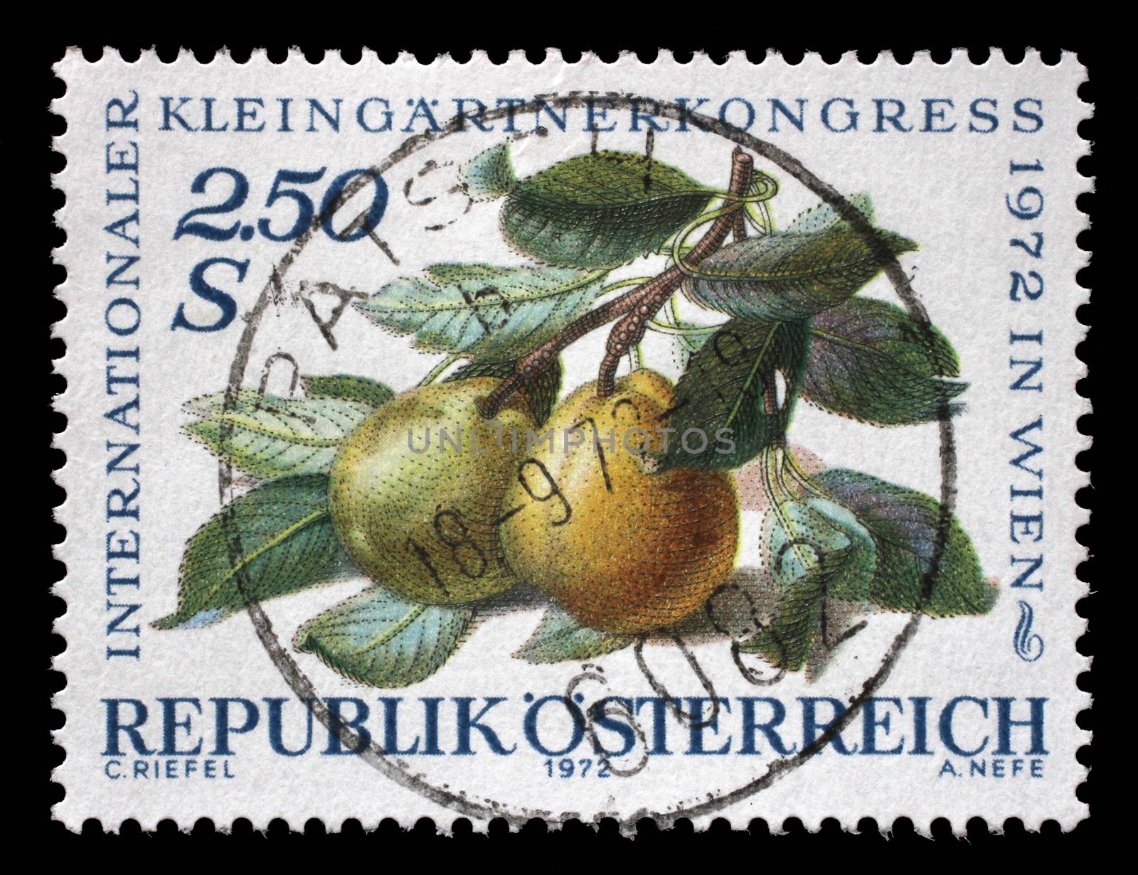 Stamp printed in Austria, devoted to the International Garden Show, Vienna, shows pears on a branch, circa 1972